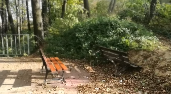 Bochnia. „Afrykańskie orgie” na torze saneczkowym przy placu Turka – WIDEO