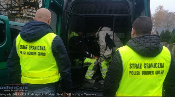 Bochnia. 8 cudzoziemców pracowało na czarno. Muszą opuścić Polskę