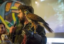 Bochnia. Podsumowanie projektu „Ptasie Miasto” i prezentacja ptaków – ZDJĘCIA