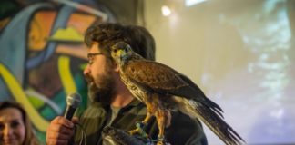 Bochnia. Podsumowanie projektu „Ptasie Miasto” i prezentacja ptaków – ZDJĘCIA