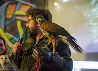 Bochnia. Podsumowanie projektu „Ptasie Miasto” i prezentacja ptaków – ZDJĘCIA