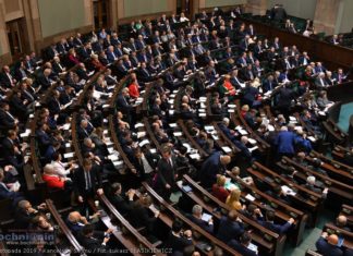 Pawłowicz i Piotrowicz w TK. Jak zagłosowali nasi posłowie?