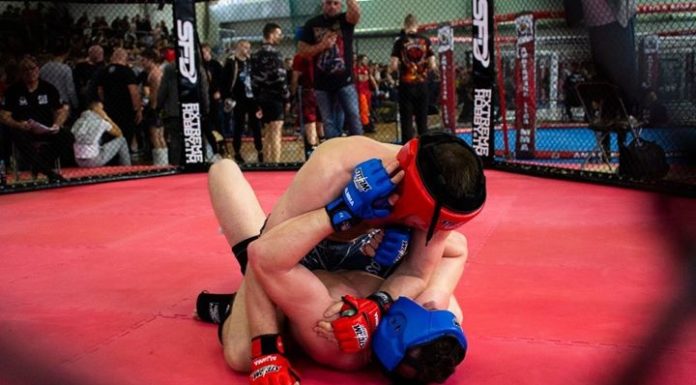 MMA. Trzy medale Mistrzostw Polski dla Fightmana – ZDJĘCIA, WIDEO