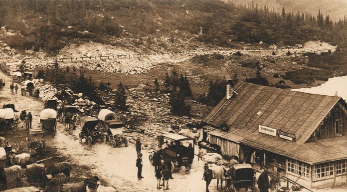 Spacer po cmentarzu: „Krajoznawcy i ludzie gór”