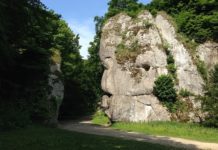 PTTK zaprasza na wycieczkę do Ojcowskiego Parku Narodowego