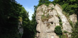 PTTK zaprasza na wycieczkę do Ojcowskiego Parku Narodowego