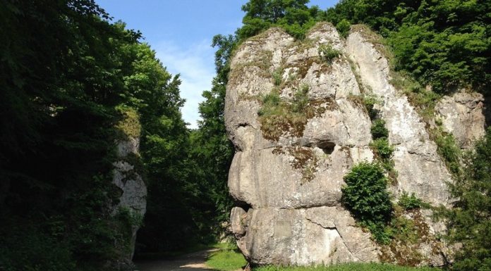 PTTK zaprasza na wycieczkę do Ojcowskiego Parku Narodowego