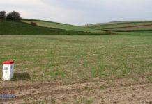 W czwartek w Muzeum spotkanie pt. „Wzdłuż naszych granic”