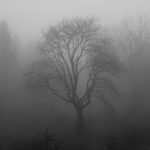 Uwaga mgły! Ostrzeżenie 1. stopnia