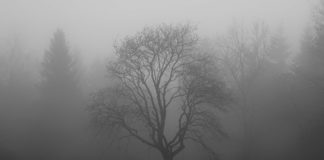 Uwaga mgły! Ostrzeżenie 1. stopnia