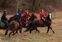 Hubertus i „Gonitwa za lisem” w Chodenicach – ZDJĘCIA, WIDEO