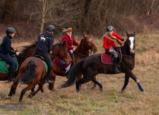 Hubertus i „Gonitwa za lisem” w Chodenicach – ZDJĘCIA, WIDEO