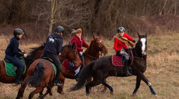 Hubertus i „Gonitwa za lisem” w Chodenicach – ZDJĘCIA, WIDEO