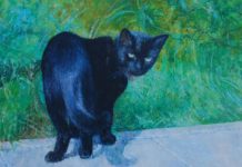 W piątek w Muzeum: „O istocie przypadku i jego konsekwencjach”