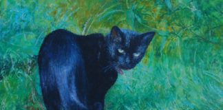 W piątek w Muzeum: „O istocie przypadku i jego konsekwencjach”