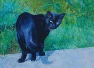 W piątek w Muzeum: „O istocie przypadku i jego konsekwencjach”