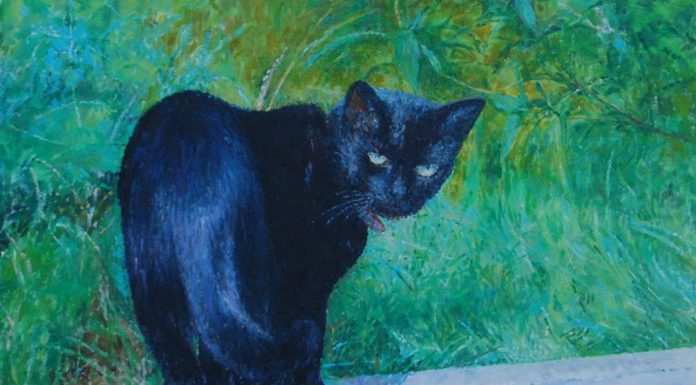 W piątek w Muzeum: „O istocie przypadku i jego konsekwencjach”