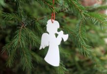 W piątek świąteczne drzewka i życzenia od starosty