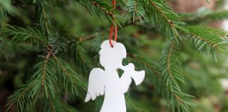 W piątek świąteczne drzewka i życzenia od starosty