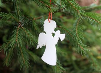 W piątek świąteczne drzewka i życzenia od starosty