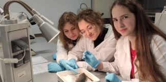 Małopolska Chmura Edukacyjna. Uczniowie I LO w laboratorium UJ