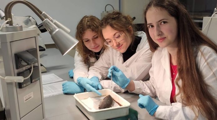 Małopolska Chmura Edukacyjna. Uczniowie I LO w laboratorium UJ