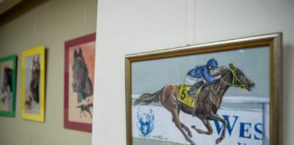 „Konie portret prawdziwy”. Wernisaż wystawy prac Marty Wałach w Bibliotece – ZDJĘCIA