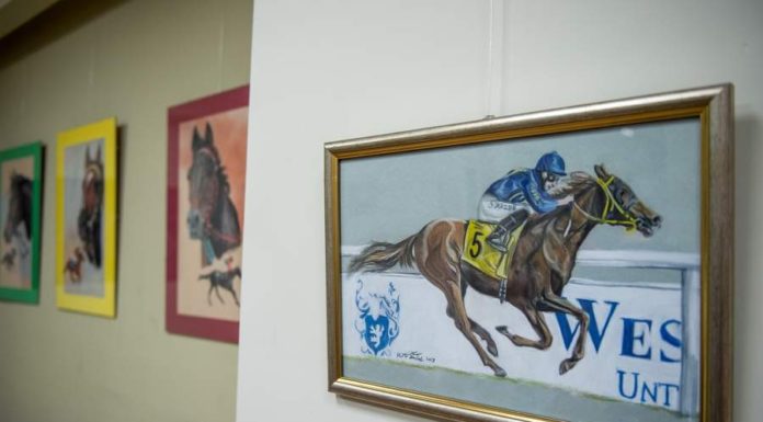 „Konie portret prawdziwy”. Wernisaż wystawy prac Marty Wałach w Bibliotece – ZDJĘCIA