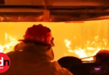 Strażacy OSP spod Brzeska uruchomili zbiórkę funduszy na pomoc płonącej Australii. Efekt ich zaskoczył