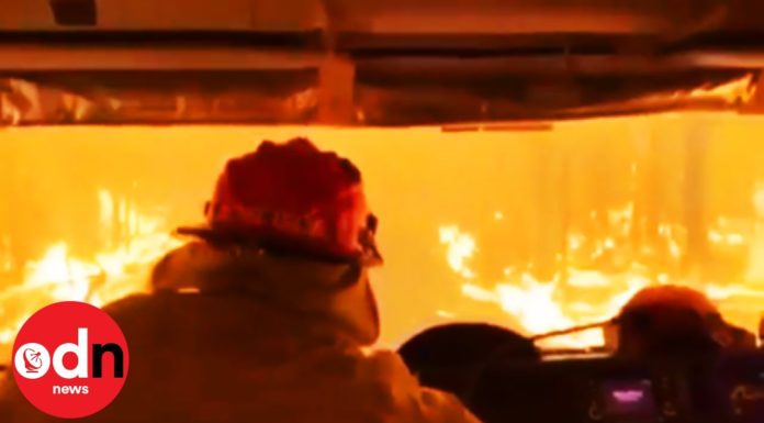 Strażacy OSP spod Brzeska uruchomili zbiórkę funduszy na pomoc płonącej Australii. Efekt ich zaskoczył