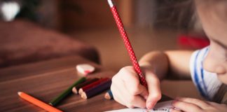 Prawie 0,5 mln zł dotacji dla SOSW