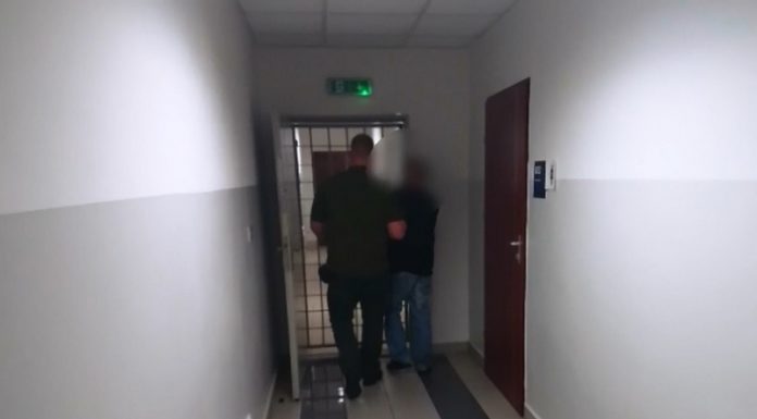 Zawoja. Mieszkaniec powiatu bocheńskiego uprawiał konopie indyjskie i kradł prąd
