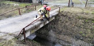 Bochnia. Olej napędowy w potoku Buczkowskim. Interweniowali strażacy – ZDJĘCIA