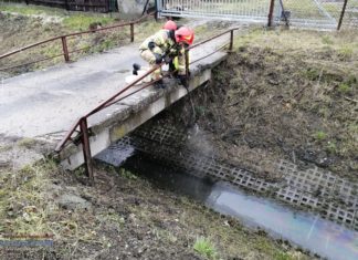 Bochnia. Olej napędowy w potoku Buczkowskim. Interweniowali strażacy – ZDJĘCIA