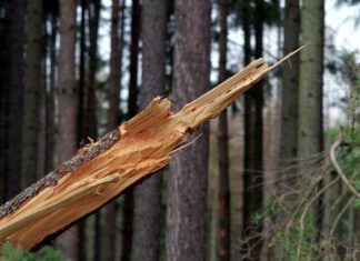 Silny wiatr w powiecie bocheńskim. Osiem interwencji straży pożarnej