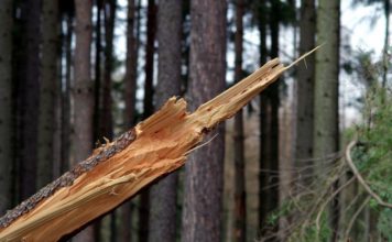 Ewakuacja skautów z obozu w Brzeźnicy. Dzieci i opiekunowie bezpieczni