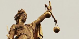 Senatorowie reagują na sytuację w Niepołomicach. Chcą zmienić prawo