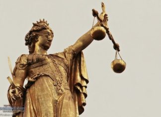 Senatorowie reagują na sytuację w Niepołomicach. Chcą zmienić prawo