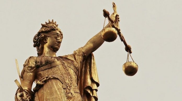 Senatorowie reagują na sytuację w Niepołomicach. Chcą zmienić prawo