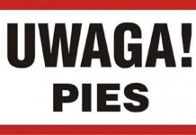 Bochnia. Na os. Jana pies zagryzł psa na oczach właścicielki