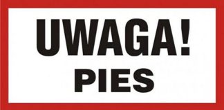 Bochnia. Na os. Jana pies zagryzł psa na oczach właścicielki