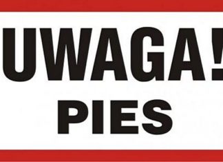 Bochnia. Na os. Jana pies zagryzł psa na oczach właścicielki