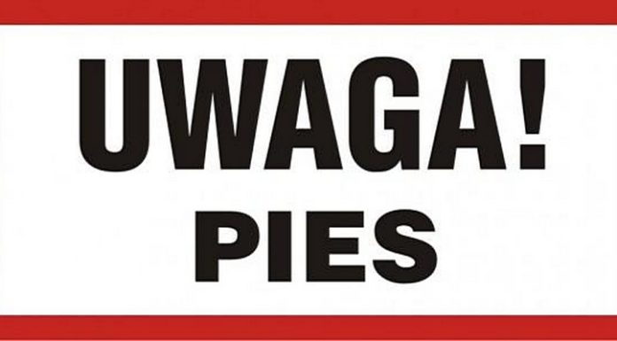 Bochnia. Na os. Jana pies zagryzł psa na oczach właścicielki