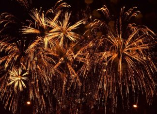 Bochnia. Zebrano podpisy i złożono petycję ws. zakazu fajerwerków w Sylwestra