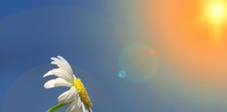 To ma być zima? Rekord ciepła w podbocheńskich Łazach