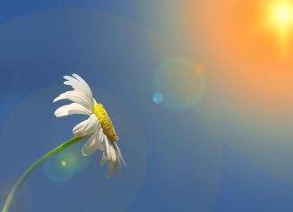 To ma być zima? Rekord ciepła w podbocheńskich Łazach