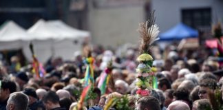 Konkurs Lipnickich Palm odwołany