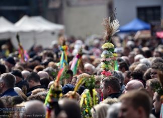 Konkurs Lipnickich Palm odwołany