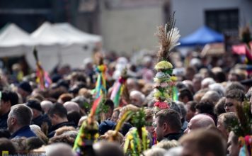 Konkurs Lipnickich Palm odwołany