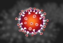 Koronawirus w Małopolsce. 349 przypadków zakażenia, są kolejne w Bochni i Brzesku